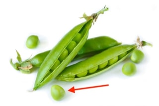 Green peas in a pod - folding example